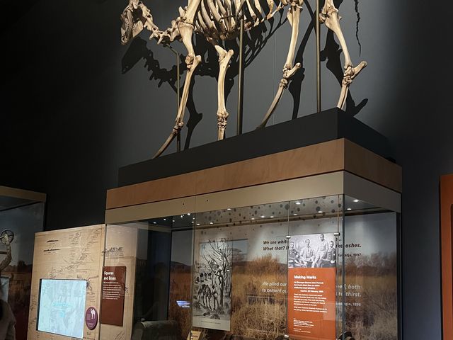 My Ancestors' 🤩🥰 Museum of my vibe🫢😝