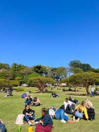 도쿄 도심속 오아시스 신주쿠교엔🌳💚