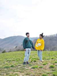 바람이 어마무시! 평창 대관령 삼양목장🐏