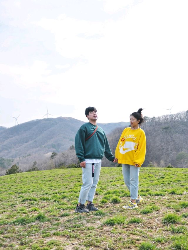 바람이 어마무시! 평창 대관령 삼양목장🐏