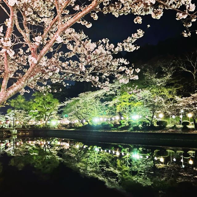 さくら🌸 ฤดูแห่งความน่ารัก
