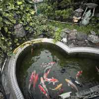 《大埔隱世西餐廳🌹假日休閒庭園風🏝️》