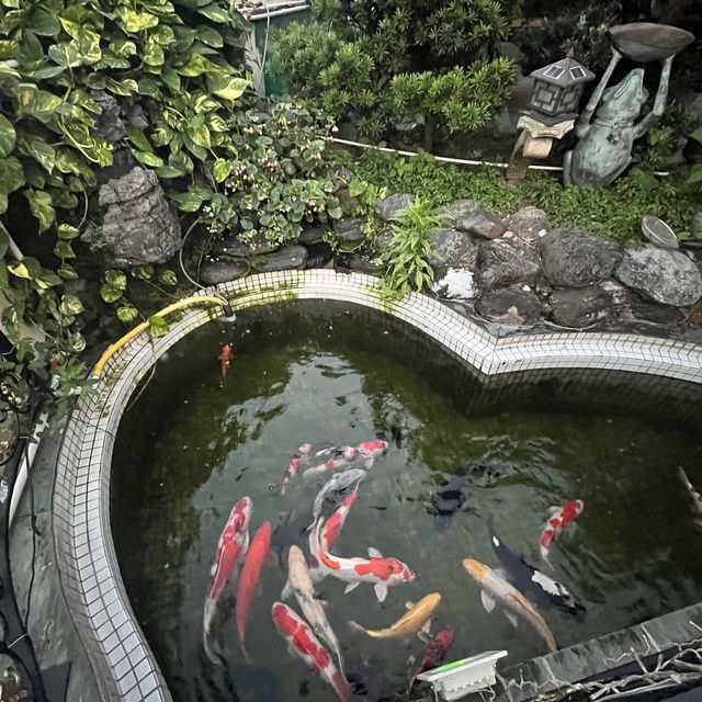 《大埔隱世西餐廳🌹假日休閒庭園風🏝️》