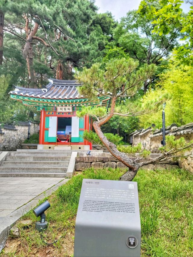 신사임당과 율곡이이선생을 만나는 곳✨️