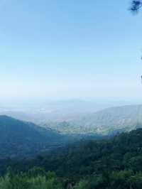 Coffee Scenery tour in Minca, Colombia