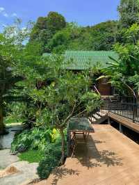 คาเฟ่กระบี่ กลางสวนยาง INTO THE FOREST 
