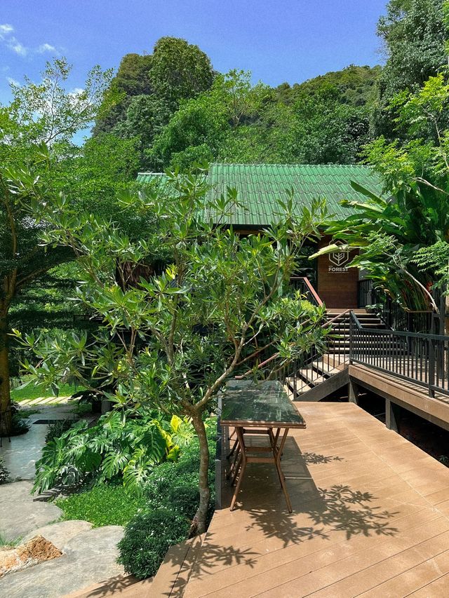 คาเฟ่กระบี่ กลางสวนยาง INTO THE FOREST 