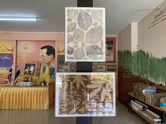 พิพิธภัณฑ์พันธุ์ไม้’สวนรุกขชาติห้วยแก้ว’
