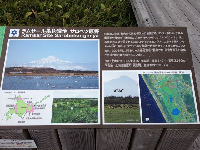 北海道　北海道観光　北海道らしい風景　サロベツ原生花園で和む！