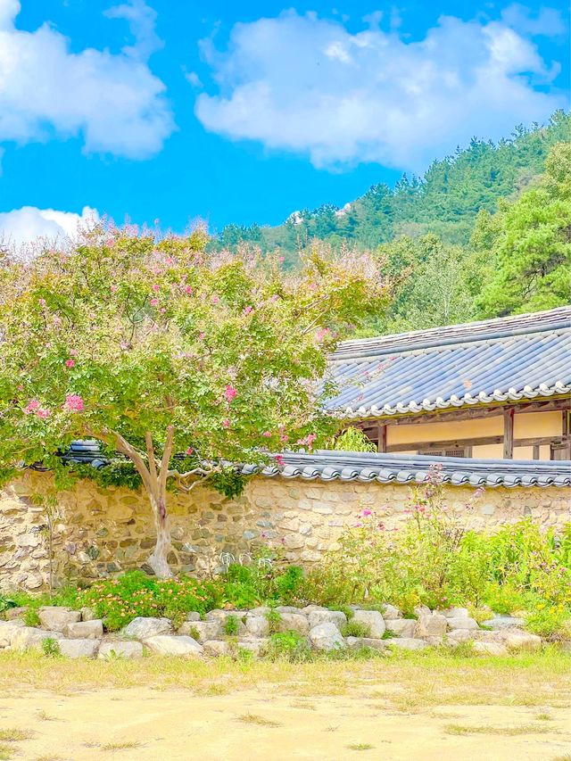 힐링할 수 있는, 성주 한개마을🇰🇷