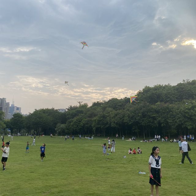 打卡深圳中心蓮花山 輕鬆飽覽福田美景