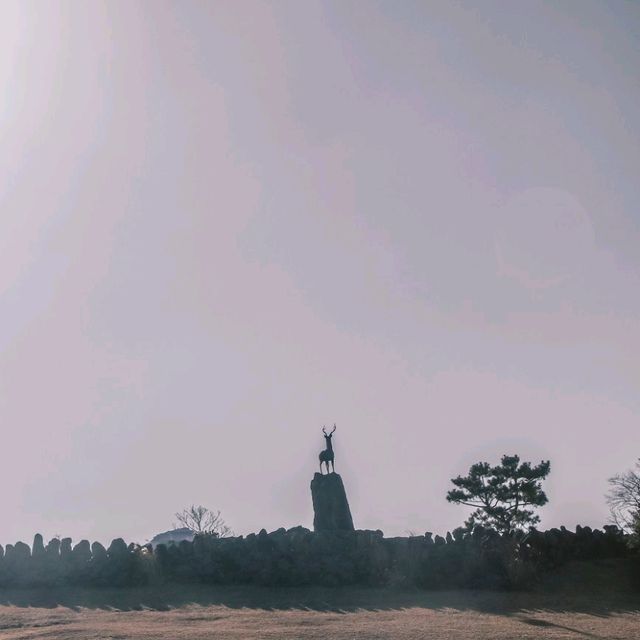 제주의 자연을 느끼려면? 산굼부리 ⛰️ 