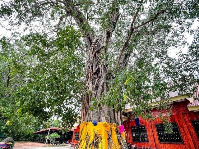 พระธาตุดอนแก้ว (พระมหาธาตุเจดีย์) 