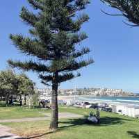 Bondi Beach , Sydney🇦🇺🌊