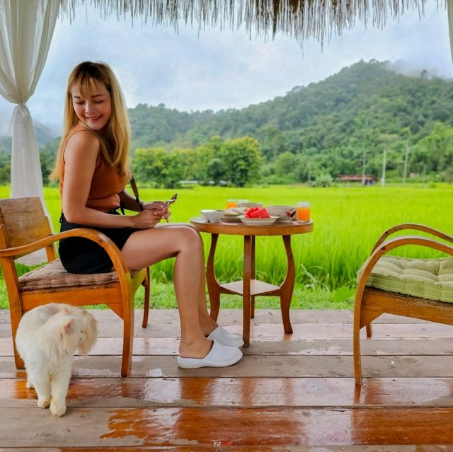 ที่พักสวย ติดริมน้ำมาง วิวท้องนา