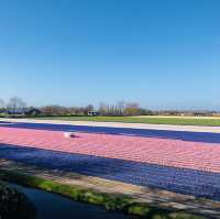 荷蘭🇳🇱盧瑟Lisse•風車景觀區🎡🛶Keukenhof Garden庫肯霍夫花園 