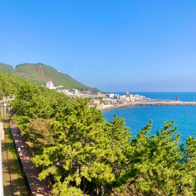 부산 핫플 해운대블루라인스카이캡슐 부산 핫플 해운대블루라인스카이캡슐