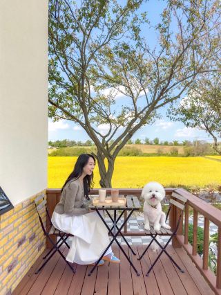 Một quán cà phê xinh xắn và dễ thương ẩn mình ở Seosan🤍