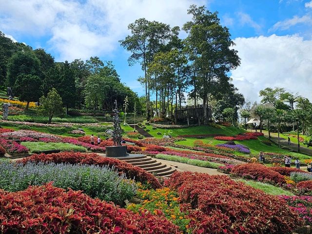 ขึ้นดอยตุง ชมดอกไม้บาน ที่สวนแม่ฟ้าหลวง จ.เชียงราย