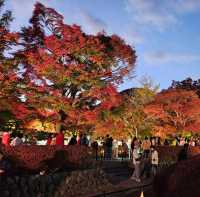 Autumn at Kawaguchiko