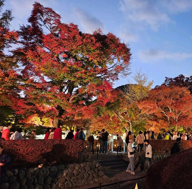 Autumn at Kawaguchiko