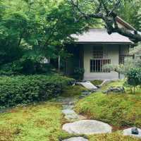 雲芊庭 🌸🏯古樸和風宅院🌿🌸