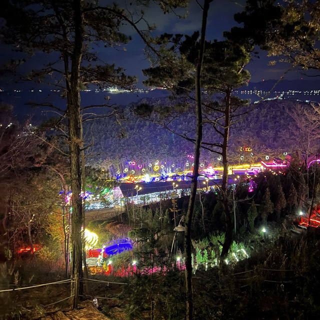 Magic After Dark at Forest of Light Garden