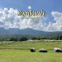 ฟาร์มแกะ ห้วยตึงเฒ่า @เชียงใหม่