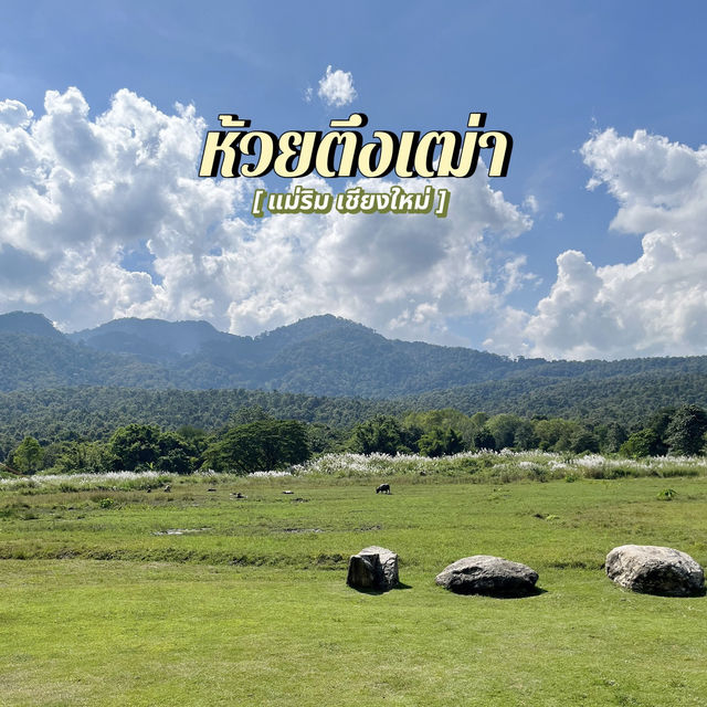 ฟาร์มแกะ ห้วยตึงเฒ่า @เชียงใหม่