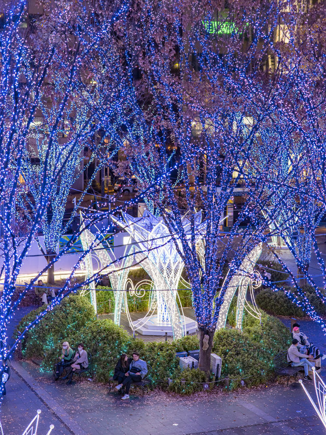 Winter Illumination สถานี Hakata จัดไฟปีใหม่แล้ว🎄