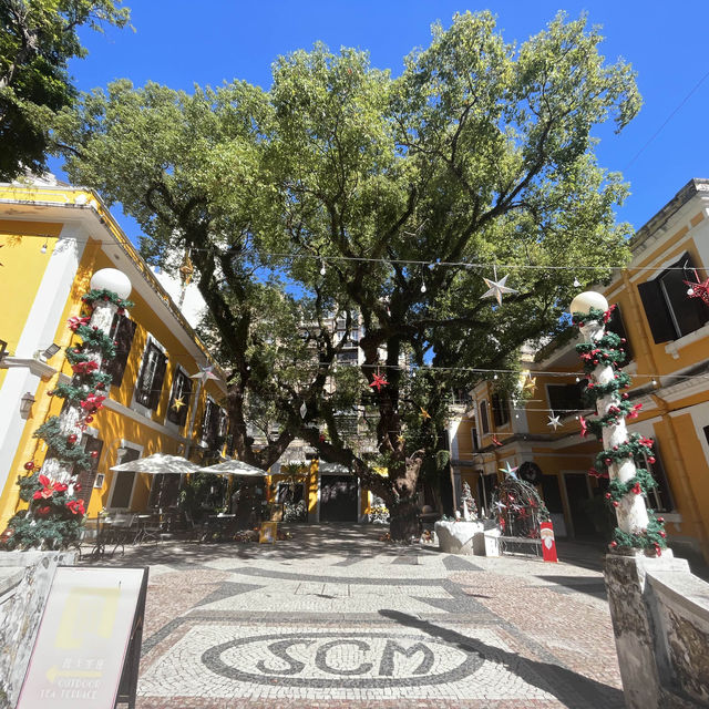 「仁慈堂婆仔屋」❣️澳門文化創意基地，探索本土藝術