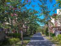 나트랑의 명품 풀빌라, 가격 대비 최고의 선택! 🏡🌴