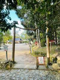 【奈良県/檜原神社】2023年行ってよかった！奈良県の神社④