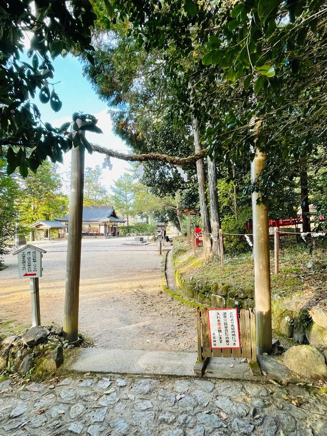 【奈良県/檜原神社】2023年行ってよかった！奈良県の神社④