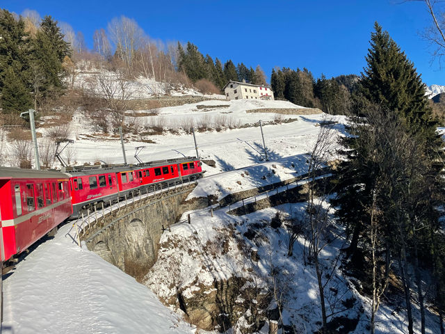 Most Beautiful Alpine View Bernina Express