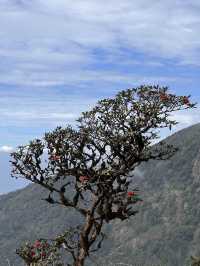 Hiking the Kew Mae Pan Nature Trail