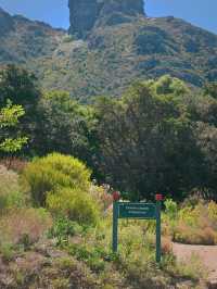 Kirstenbosch National Botanical ปลูกได้ที่เดียว