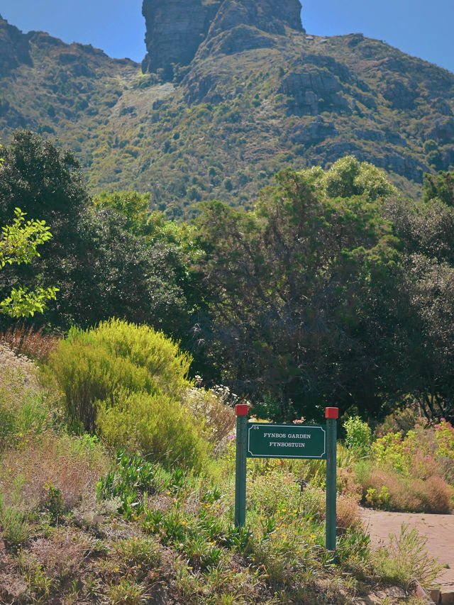 Kirstenbosch National Botanical ปลูกได้ที่เดียว