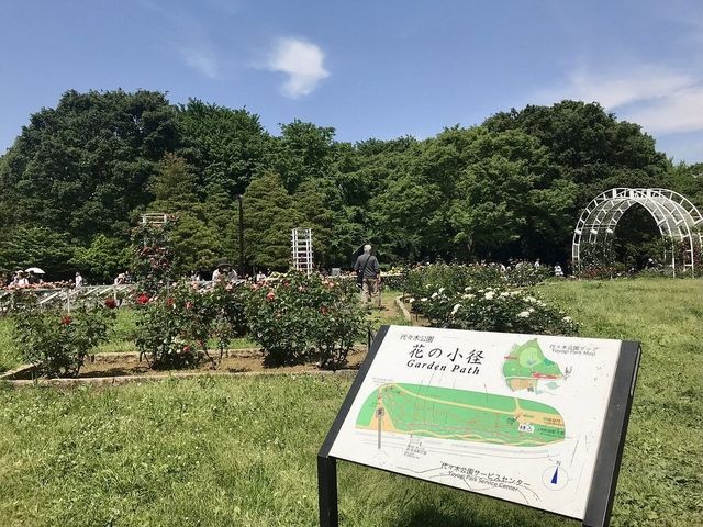 Meiji Shrine Imperial Garden