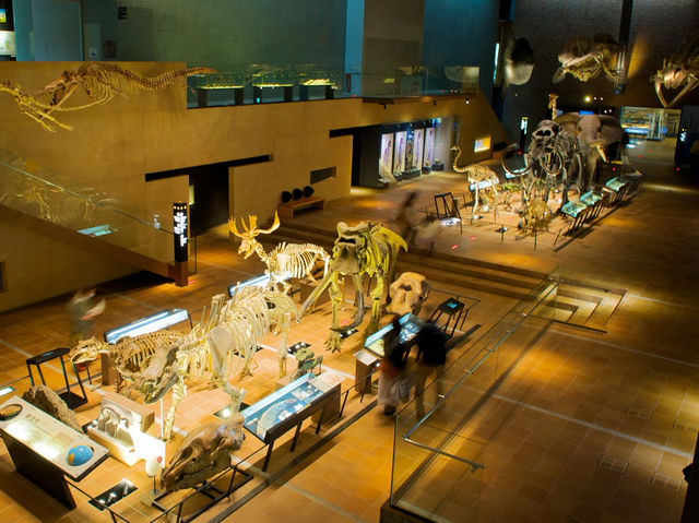 Museum of Natural and Human History