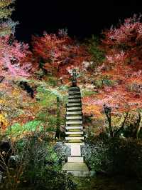 京都景點｜嵐山寶嚴院之夜楓