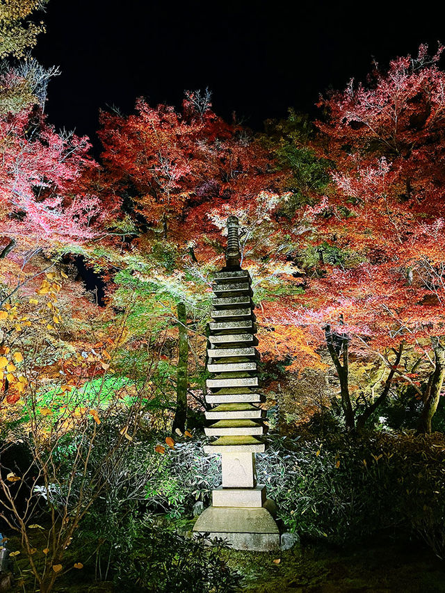 京都景點｜嵐山寶嚴院之夜楓