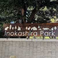 Inokashira Park Zoo