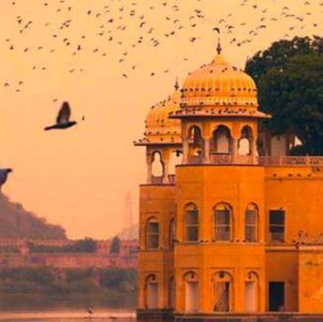Jal Mahal जल महल