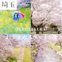 【埼玉】おすすめSAKURAスポット6選