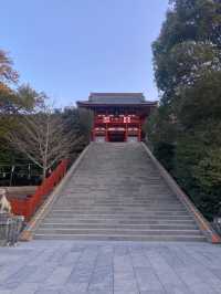 鎌倉といえば鶴岡八幡宮（つるがおかはちまんぐう）は外せない