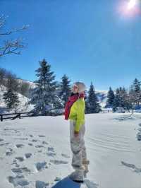 눈쌓인 동물체험장 어떤데🥹❄️