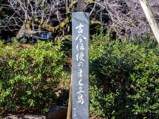 【静岡県】 伊豆国の格式「三嶋大社」