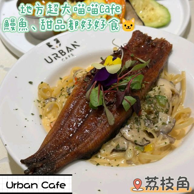 Urban Cafe ：貓貓雲集 美食多樣 打卡約會一流