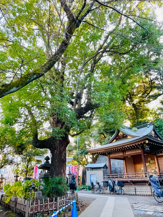 【東京都/王子稲荷神社】パワースポット・狐の穴